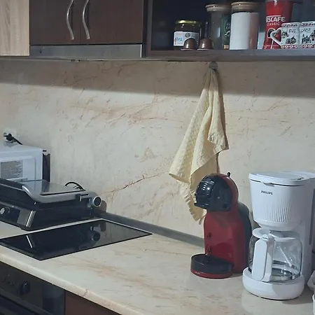Appartement котка без опашка *