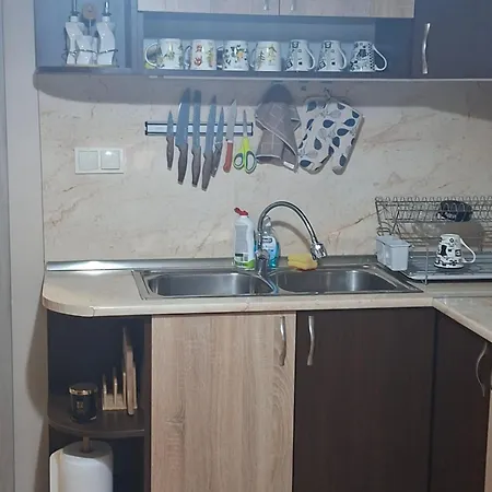 Apartmán котка без опашка