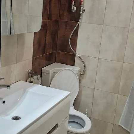 котка без опашка * Gabrovo