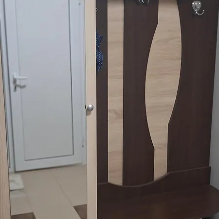 котка без опашка *